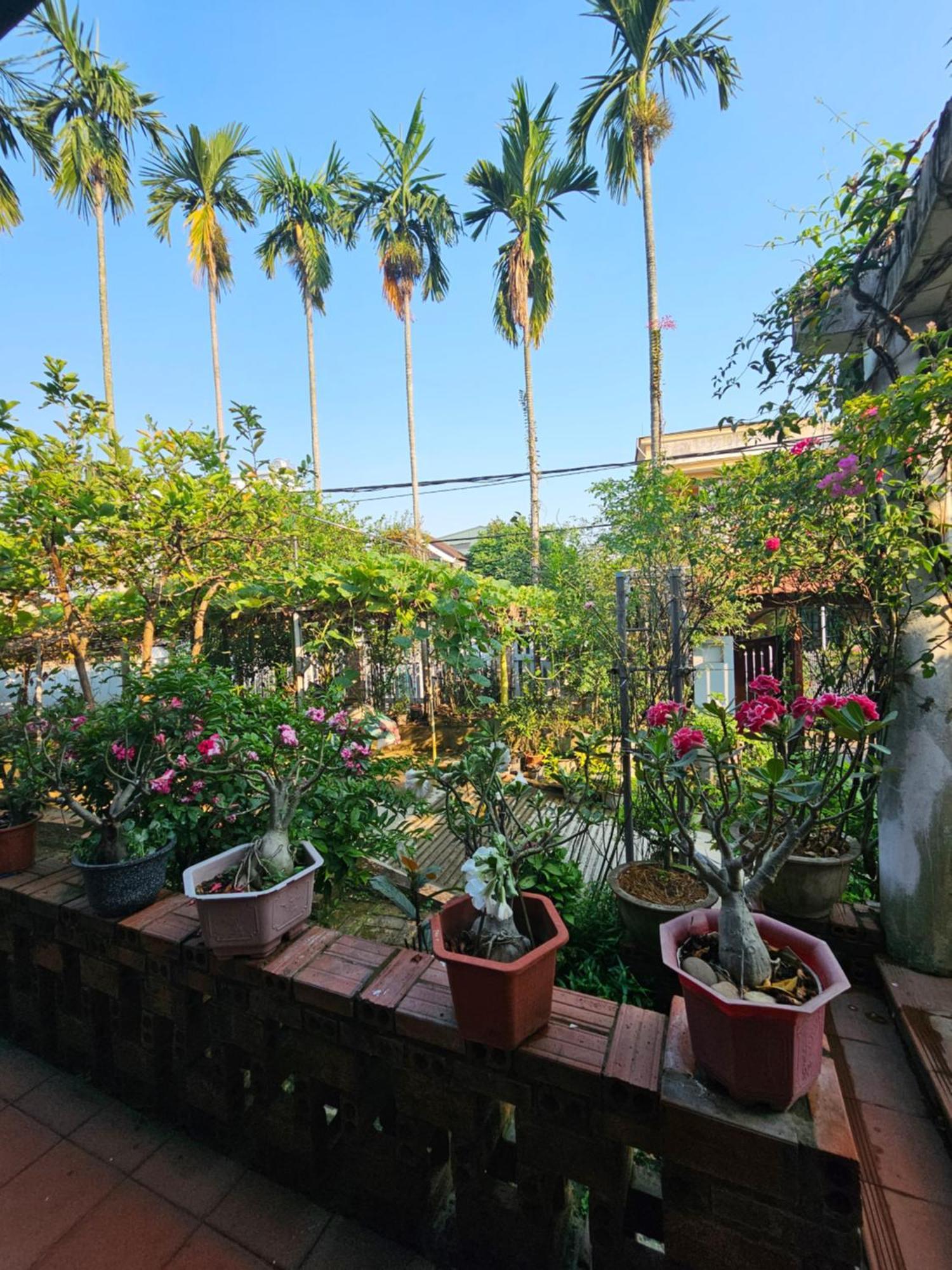 Rose Homestay Hue Thon Kim Long 외부 사진